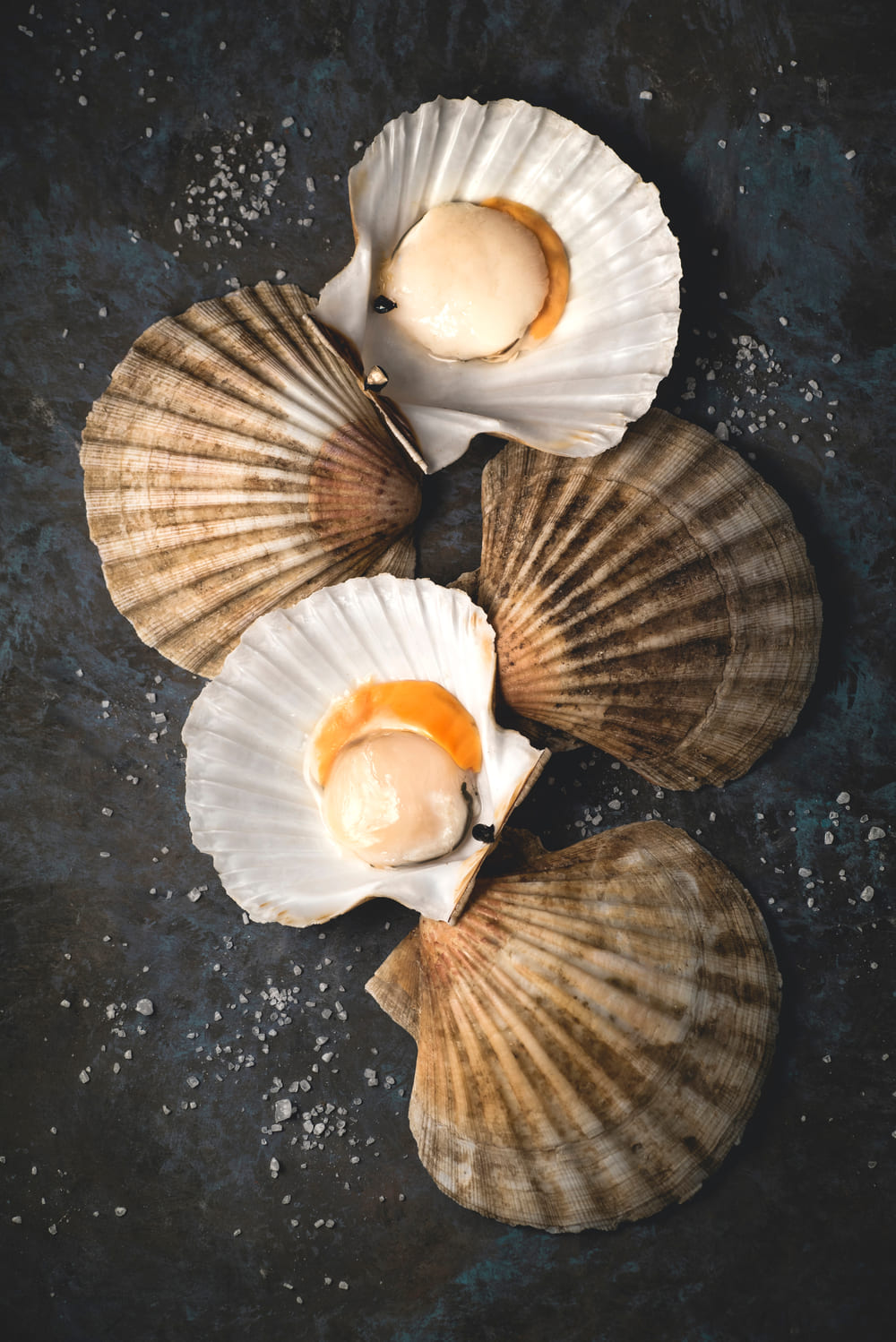 Coquilles St Jacques
